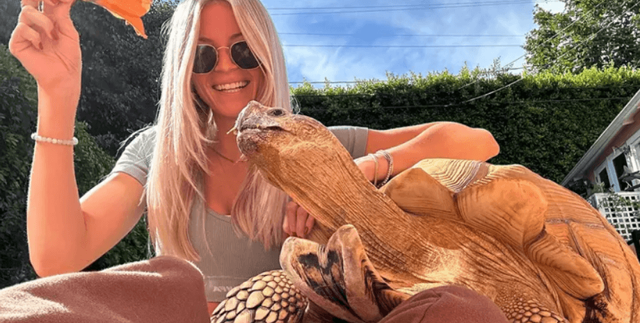 черепаха, дівчина, квітка