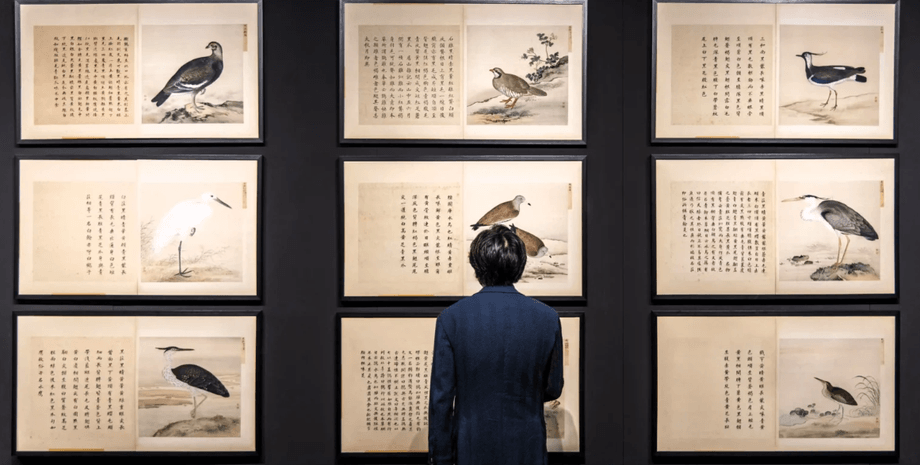 Сімейні картини з птахами принесли британцям 780 тисяч фунтів на аукціоні