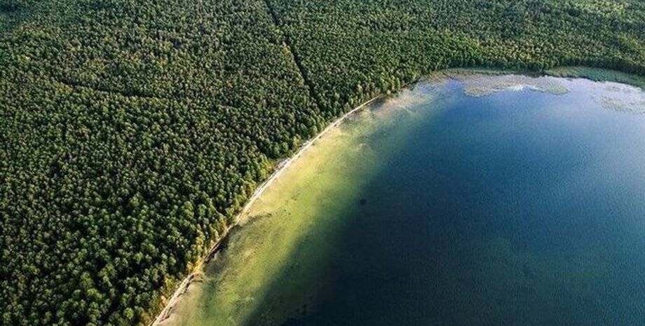 Белое озеро