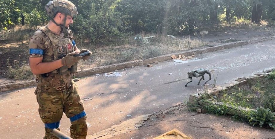 Robot Dogs eseguono una pista da prefalda, riducendo il rischio per i soldati de...