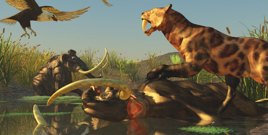 Фото: Getty Images