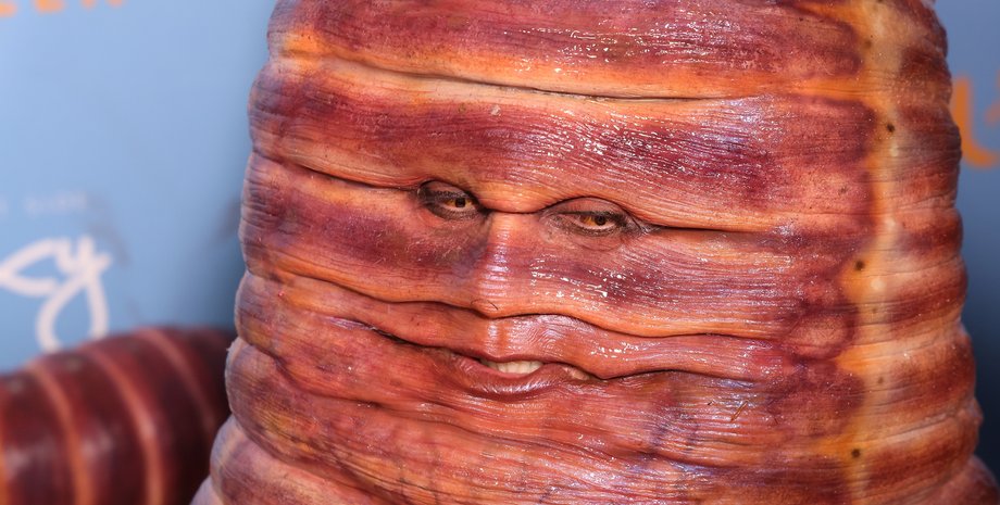 Хайди Клум, Хайди Клум Хэллоуин 2022, Хайди Клум червь, Хайди Клум костюм червя, сколько стоил костюм червя Хайди Клум