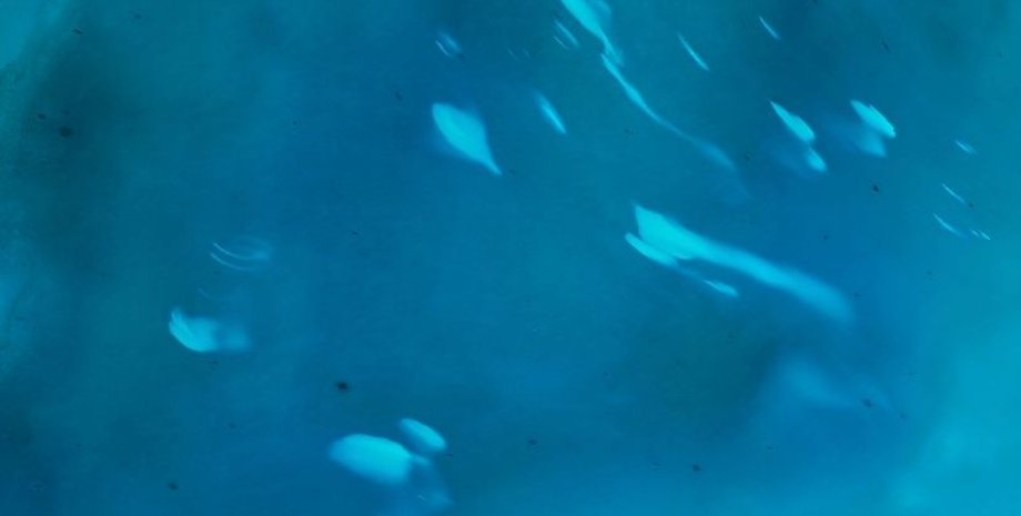 белые облака в океане