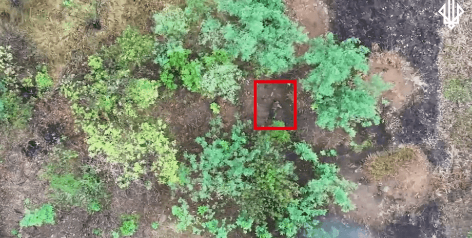 женщина на штурме Покровское направление