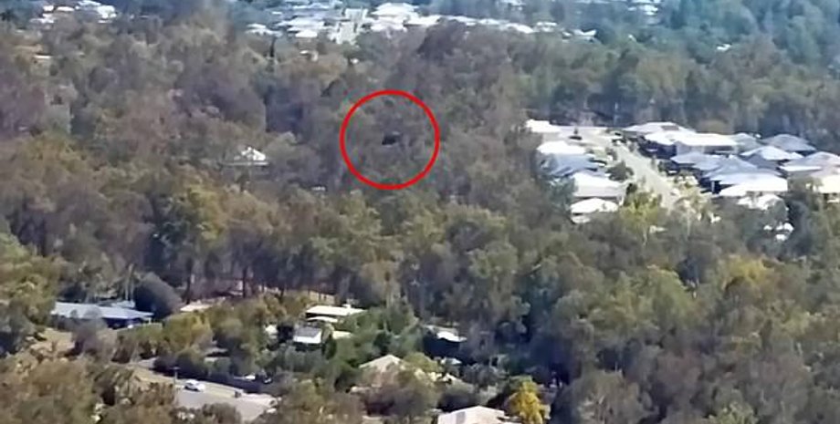 нло, австралия, дрон