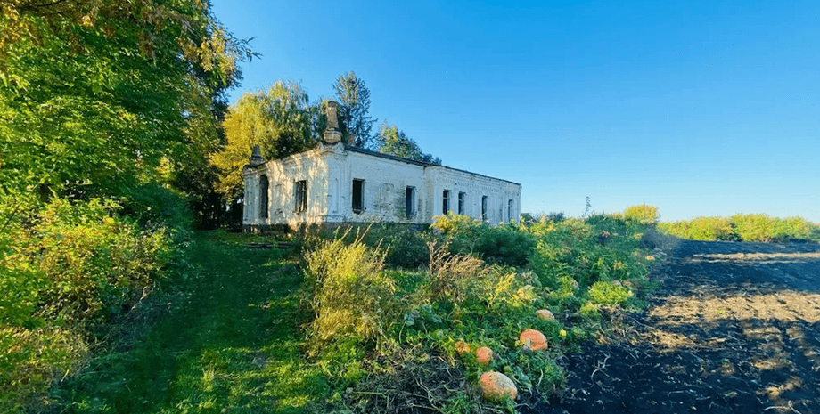 Имение Модеста Езерского, историческое имение, исторический дворец, дворец, имение, дворец Модеста Езерского