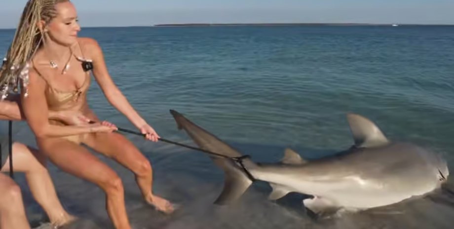 Стримерша издевалась над акулой, пыталась оседлать, заколола дикого кабана, попала в скандал, живая акула, порезала ягодицы,