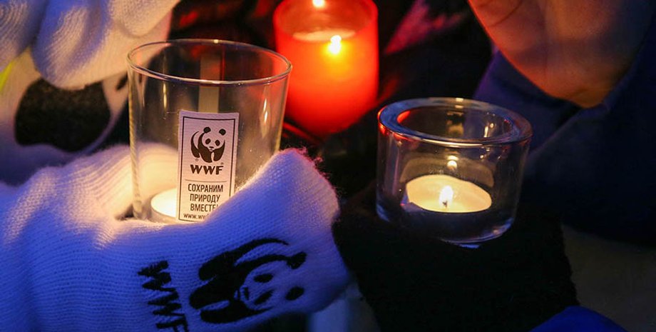 Фото: 60.wwf.ru