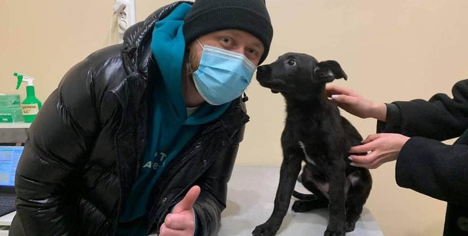 щенок, щенка, избили, киев, киевлянин, шевченковский, дело, жестокое обращение, животные