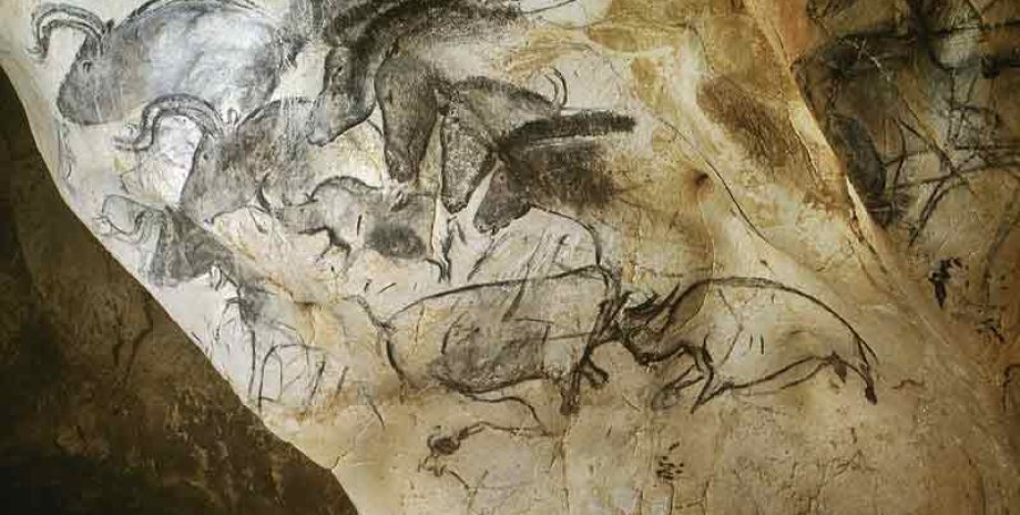 Рисунки в пещере Шове-Пон-д'Арк / Фото: unesco.org
