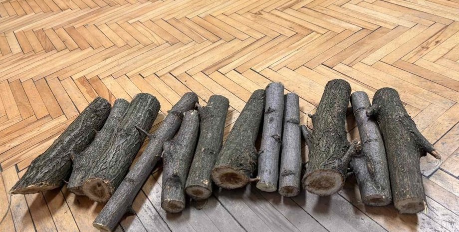 У Дніпрі на аукціон виставили 12 конфіскованих полін