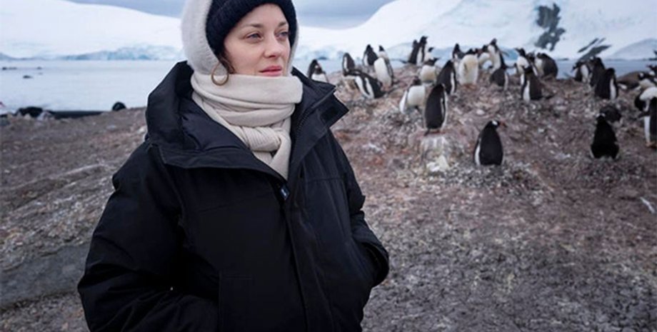 Фото: "Инстаграм" Марион Котийяр