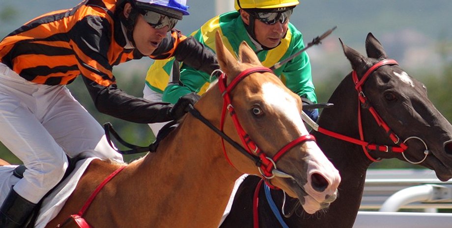 лошади, скачки