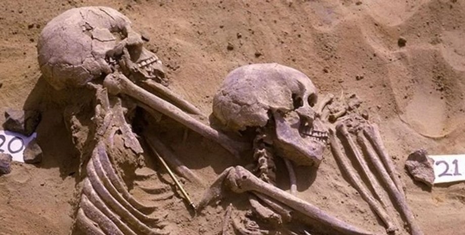 Человеческие кости