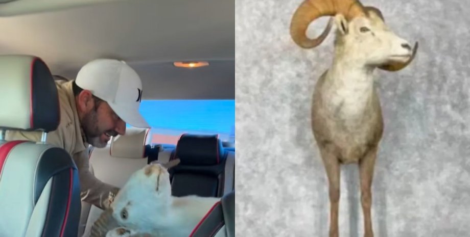 Женщина сомневалась в покупке тестя в магазине: потом узнала ее истинную ценность