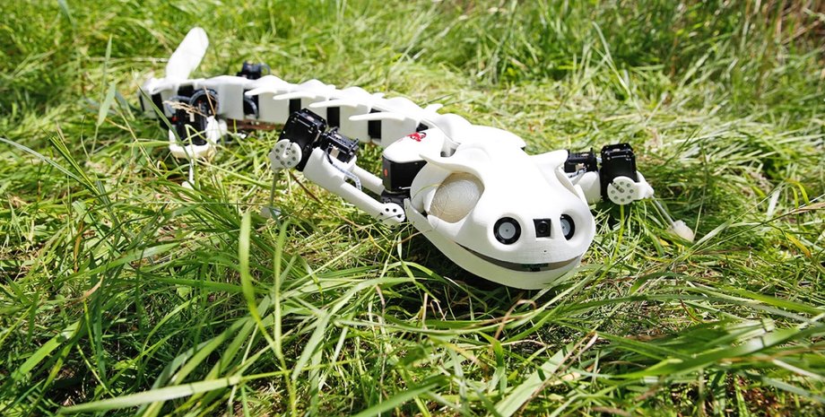 Плевробот / Фото: popmech.ru