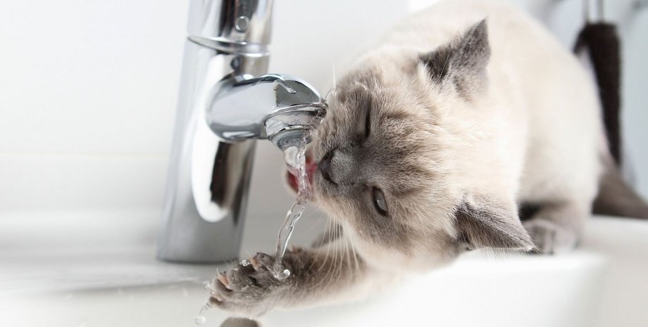 Фото: Днепр Час