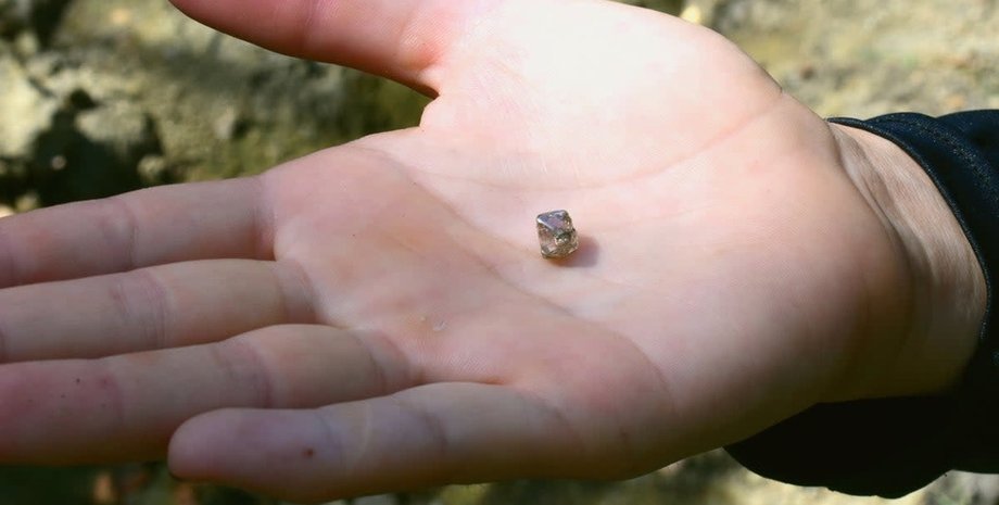 Дівчина зі США знайшла дорогоцінний діамант у парку, прийнявши його за павутину на землі