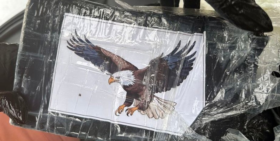 Искал гнездо черепахи, а нашел наркотики, находка на пляже, курьезы, контрабандисты, Флорида, интересные истории, фото