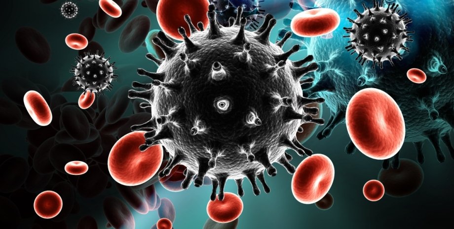 Вирус иммунодефицита человека / Фото: medicaldaily.com