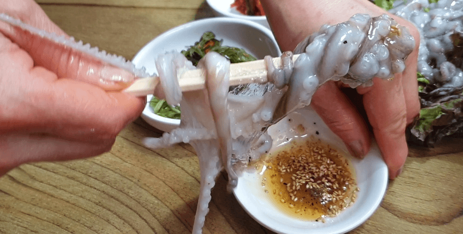 Живой осьминог, Саннакчи, опасный деликатес, опасная еда, опасно для здоровья, рыба, фрукты, сыр, кухня разных стран мира