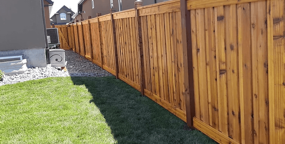 паркан, черепаха