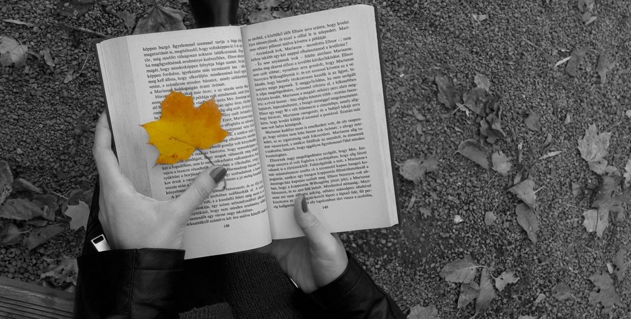 Фото: pxhere.com