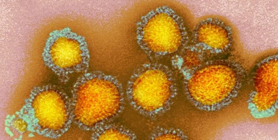 Грипп, частицы вируса, вирус