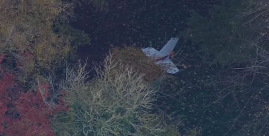 Скриншот: youtube.com / Guardian News