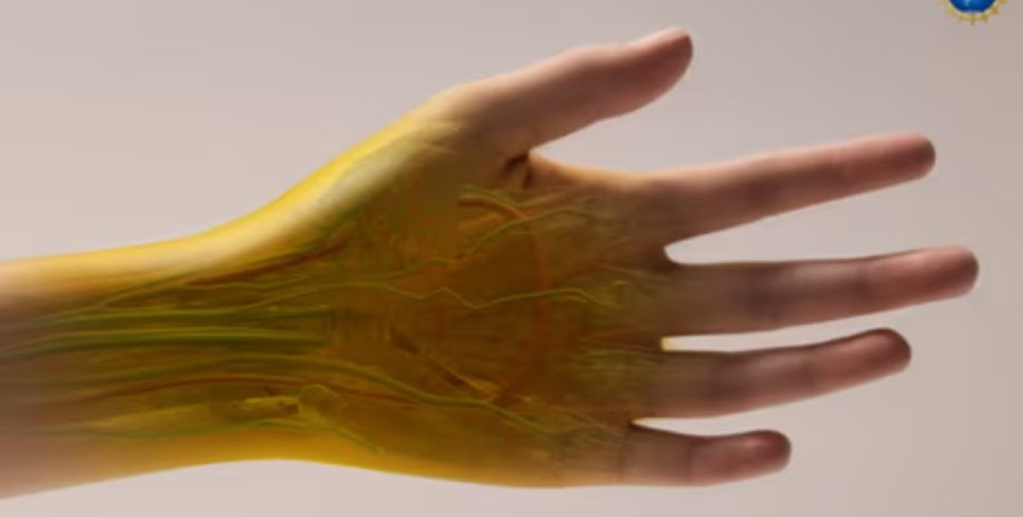 прозрачная кожа прозрачная кожа