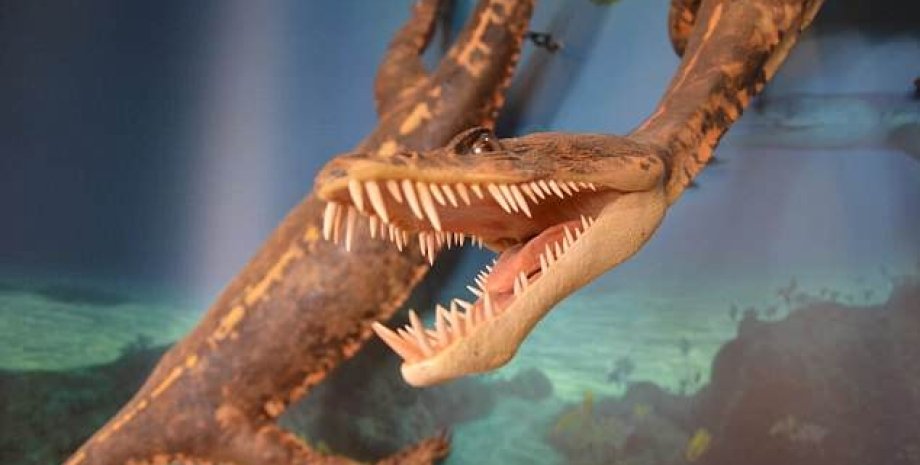 Реконструкция Proneusticosaurus silesiacus / Источник: Daily Mail