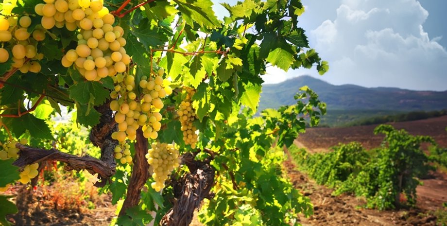 Фото: tour.crimea.com