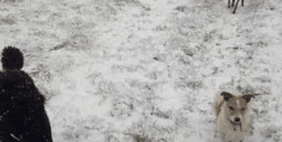 Оптична ілюзія