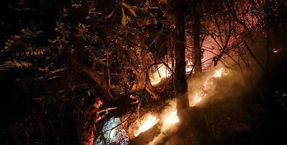 Фото: twitter.com/PDChina