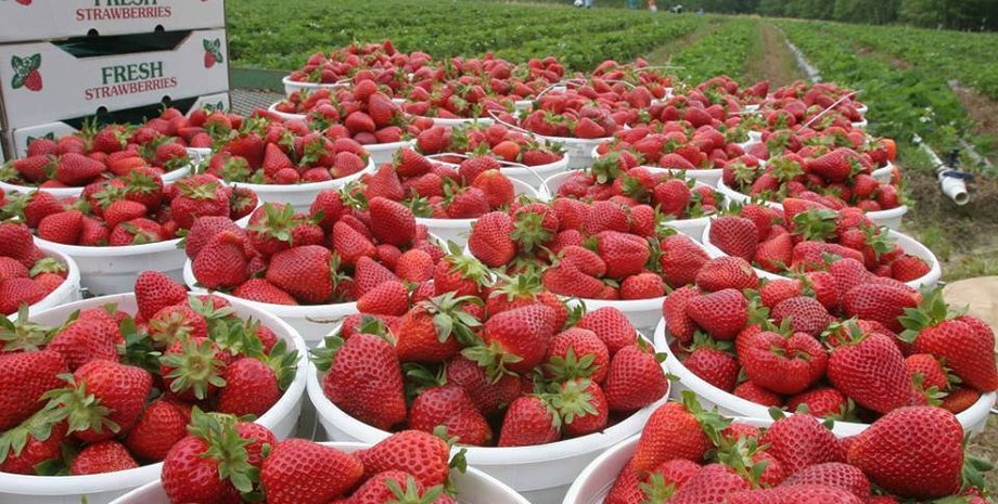 Фото: Polsha24.com