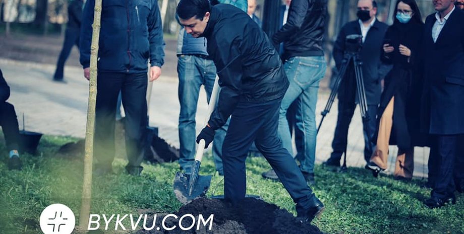 депутаты посадили деревья, высадка деревьев в раде
