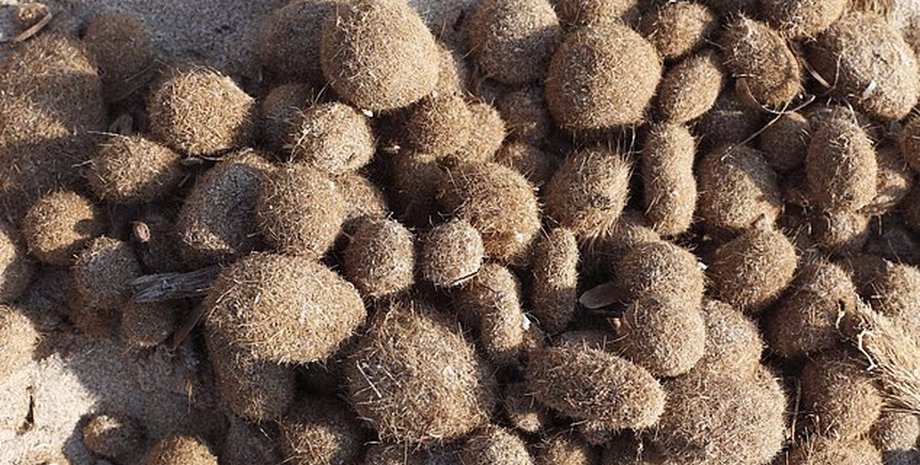 сфери кулі кулі нептуна