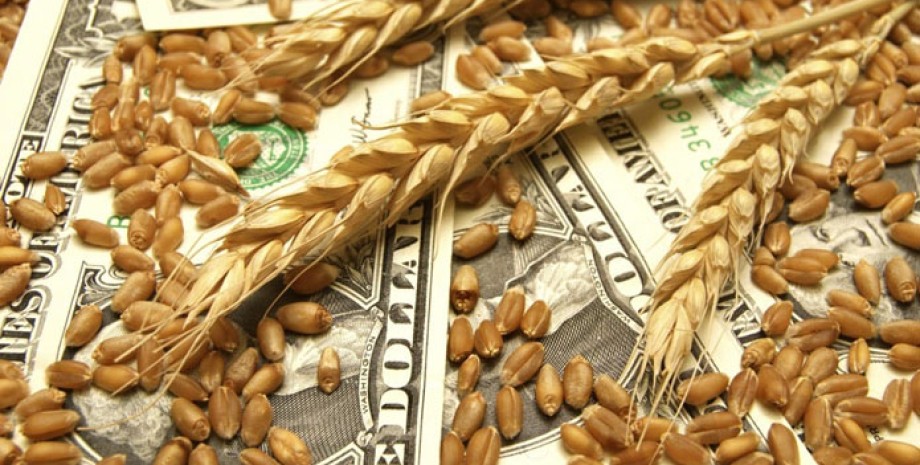 зерно, колосья пшеницы, доллары