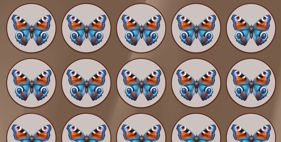 Головоломка з метеликом, оптична ілюзія, інтелектуальні тести, загадки, цікаві задачі, ігри