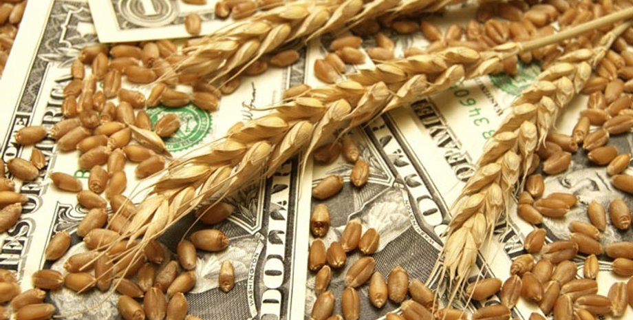 зерно, колосья пшеницы, доллары