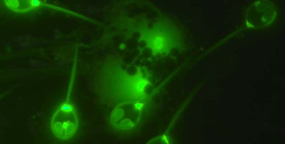 Фото: Stephen Douglas Atkinson