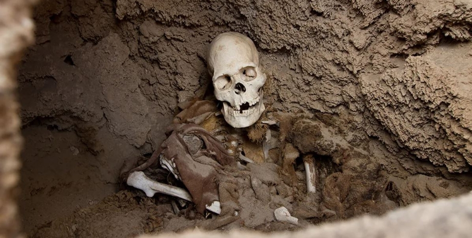поховання, дослідження, археологія, останки, древні люди