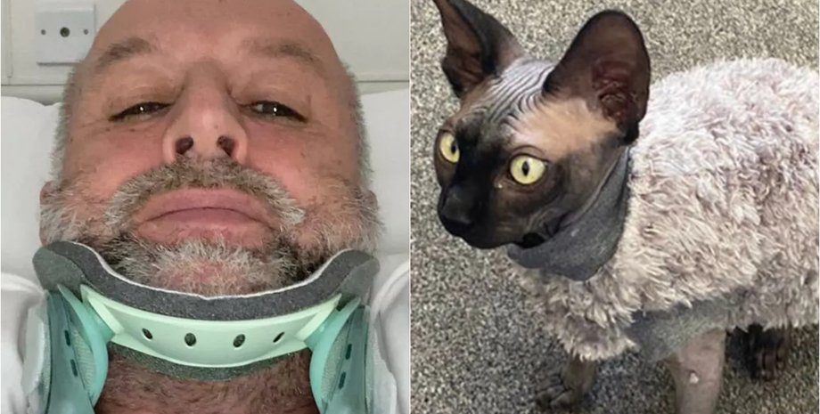 Крис Роули споткнулся о кота