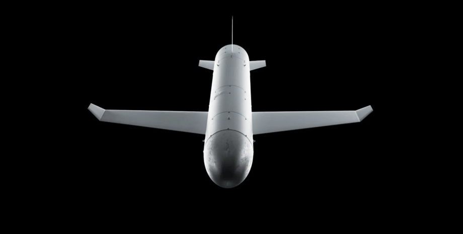 Ракета-дрон "Паляница" Украина заявила о применении "Паляницы"