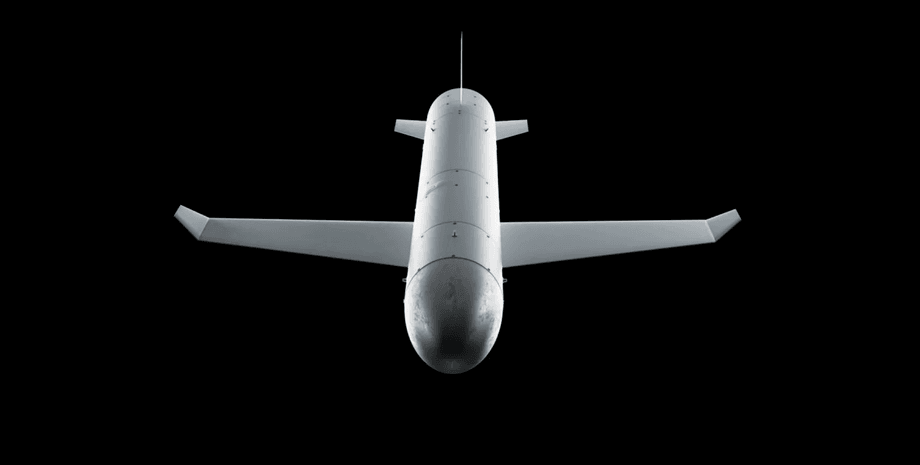 Украина заявила о применении "Паляницы"