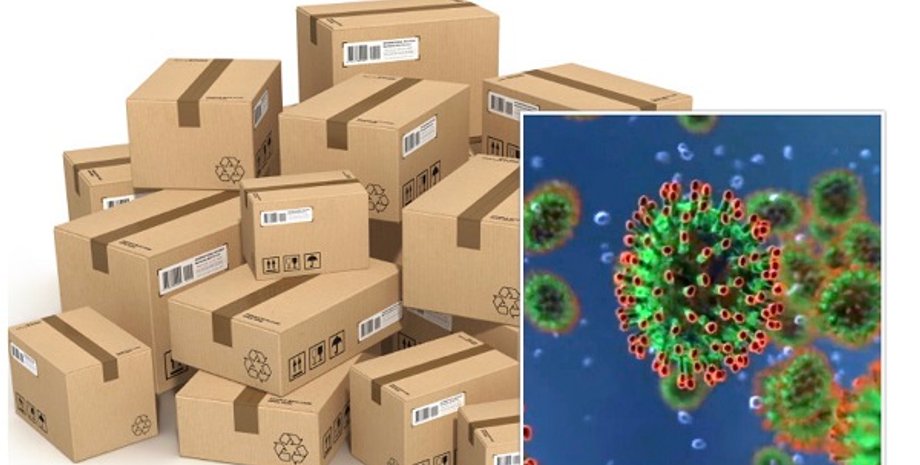 Фото: Actual.Today