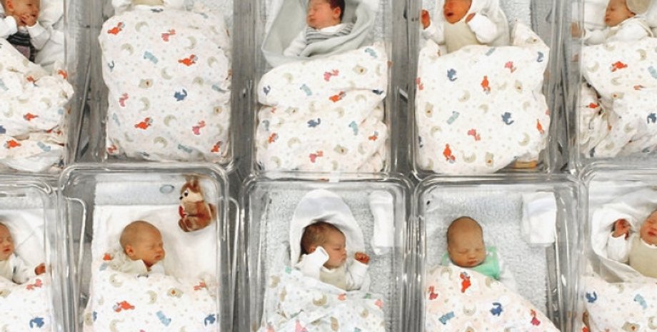 Иллюстративное фото