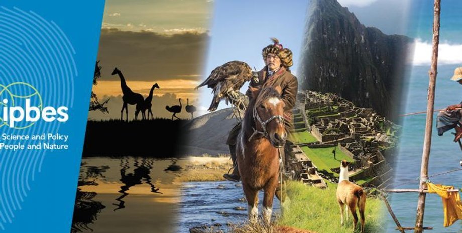 Фото: IPBES