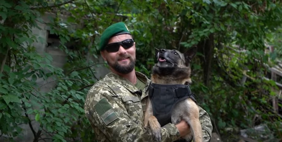 Пограничник, собака, Эльма