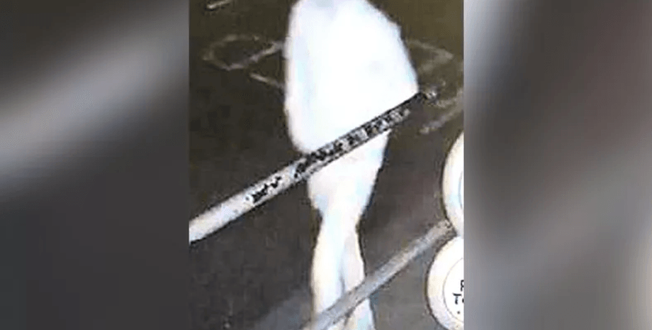 Фото предполагаемого нападавшего